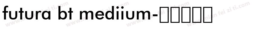 futura bt mediium字体转换